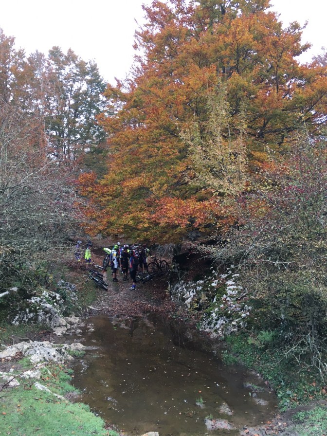 Momento de rotura de freno de Patricia