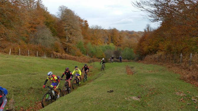 Salimos del bosque y enseguida volveríamos al mismo. Un repechito