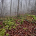 Parque Natural de Izki. ¡¡Apasionante!!