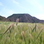 Monegros 2016, «Lucha contra el viento».