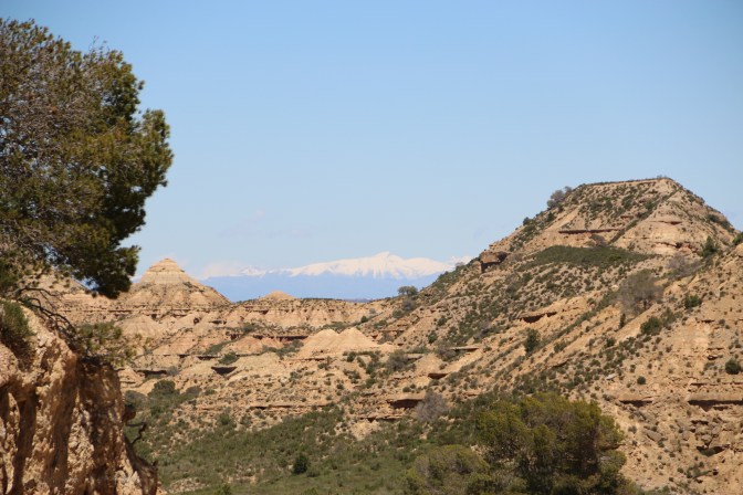 Monegros_3_2016_11599