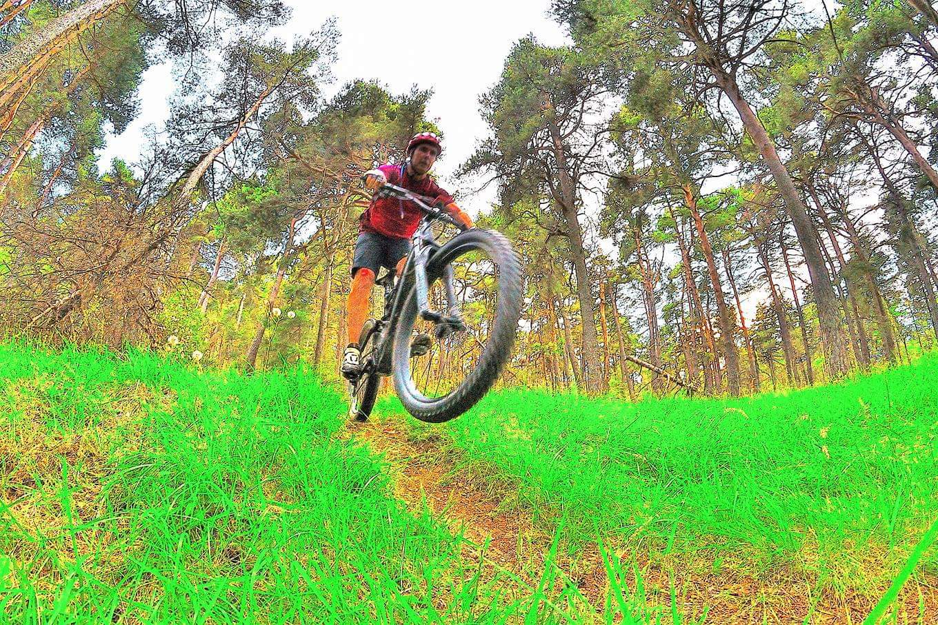 FB_IMG_1545692108676